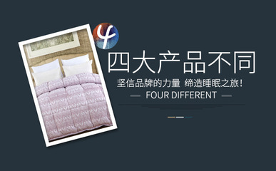 探索鼎善商城 优质新款羽丝绒冬被与植物羊绒冬被的批发优势